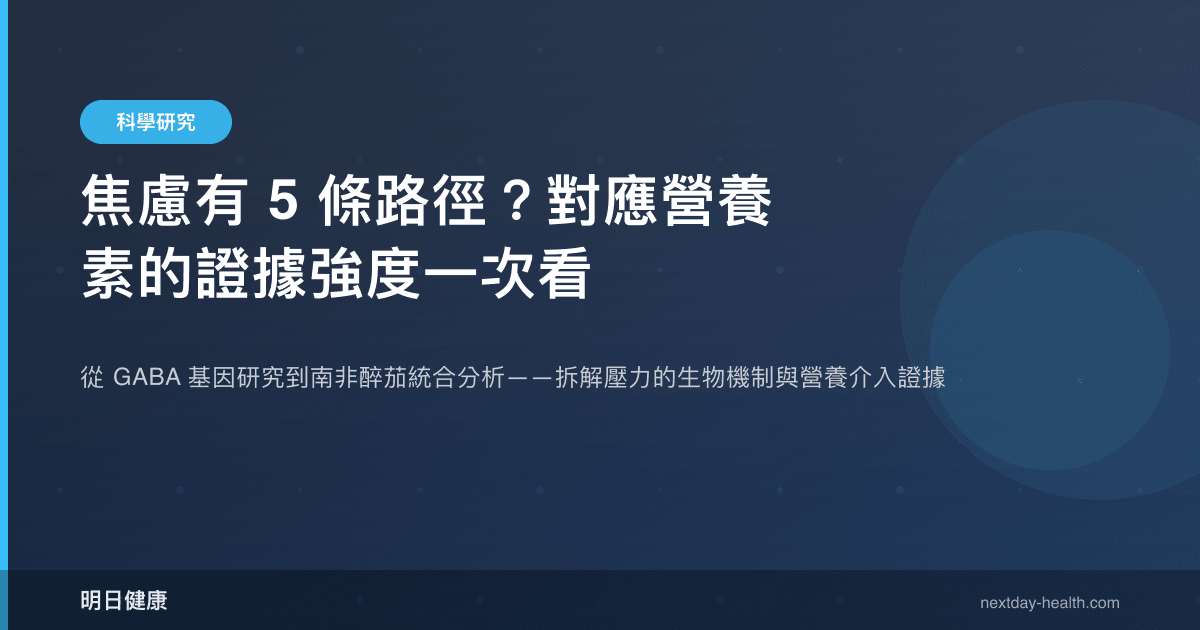 焦慮有 5 條路徑？對應營養素的證據強度一次看