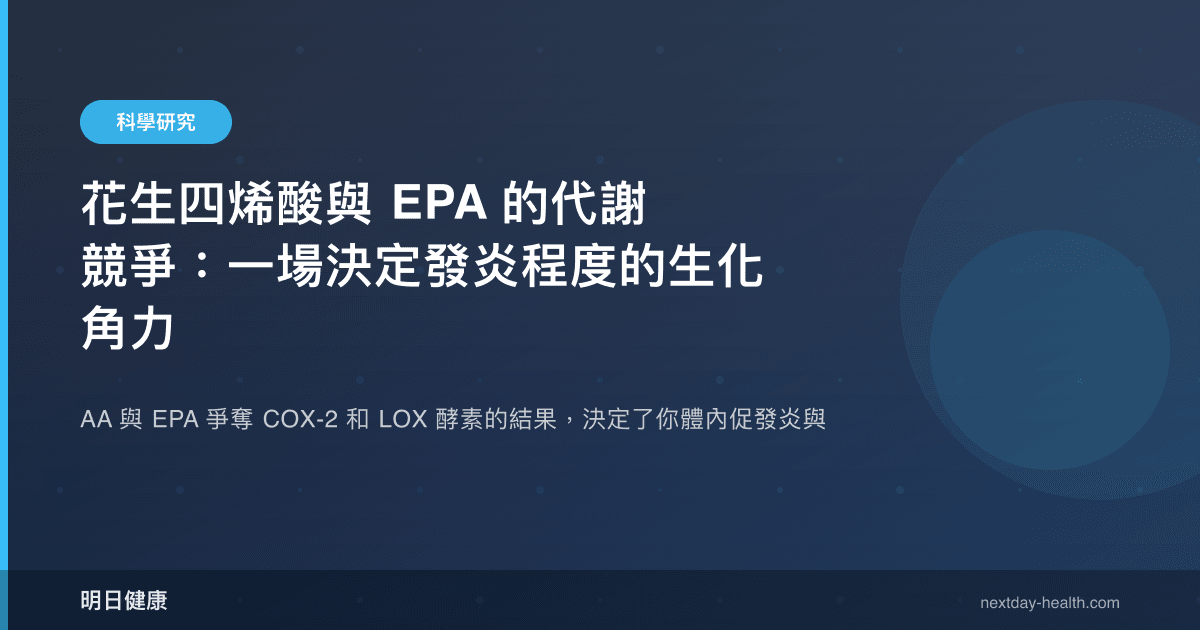 花生四烯酸與 EPA 的代謝競爭：一場決定發炎程度的生化角力