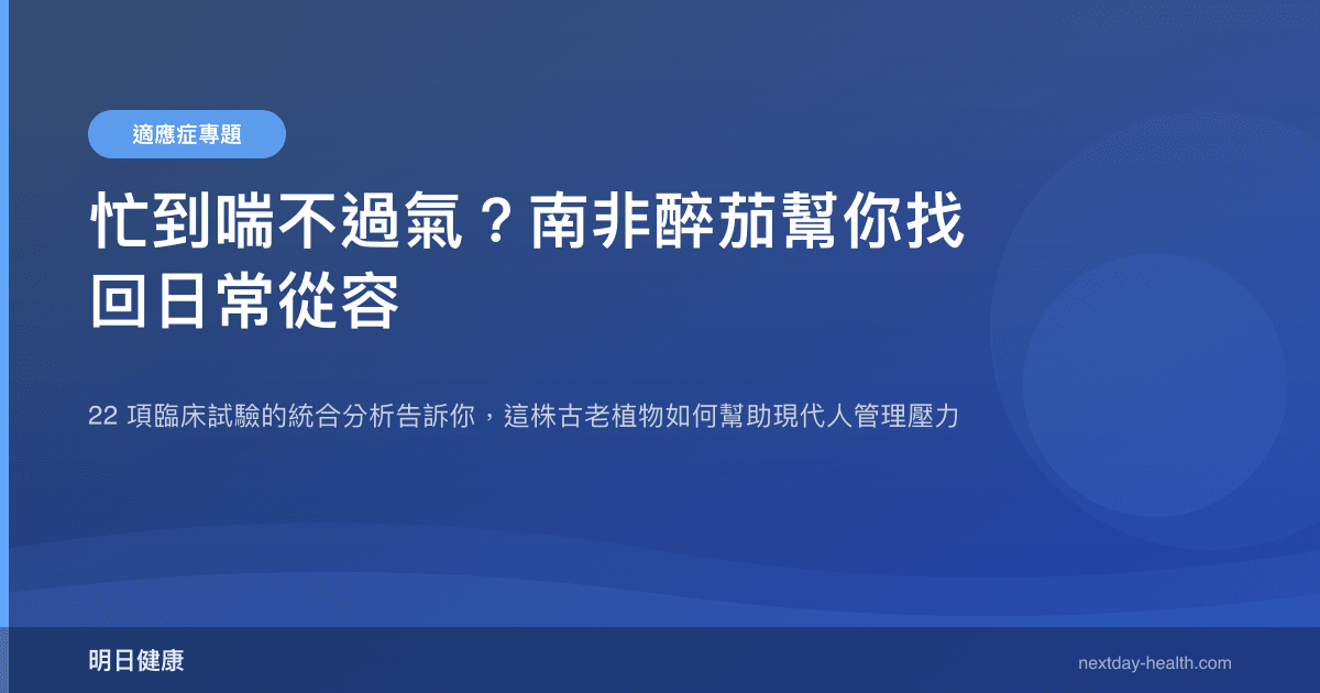 忙到喘不過氣？南非醉茄幫你找回日常從容