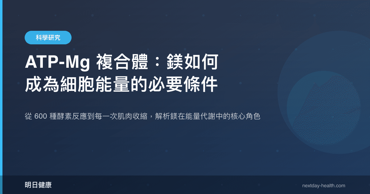 ATP-Mg 複合體：鎂如何成為細胞能量的必要條件