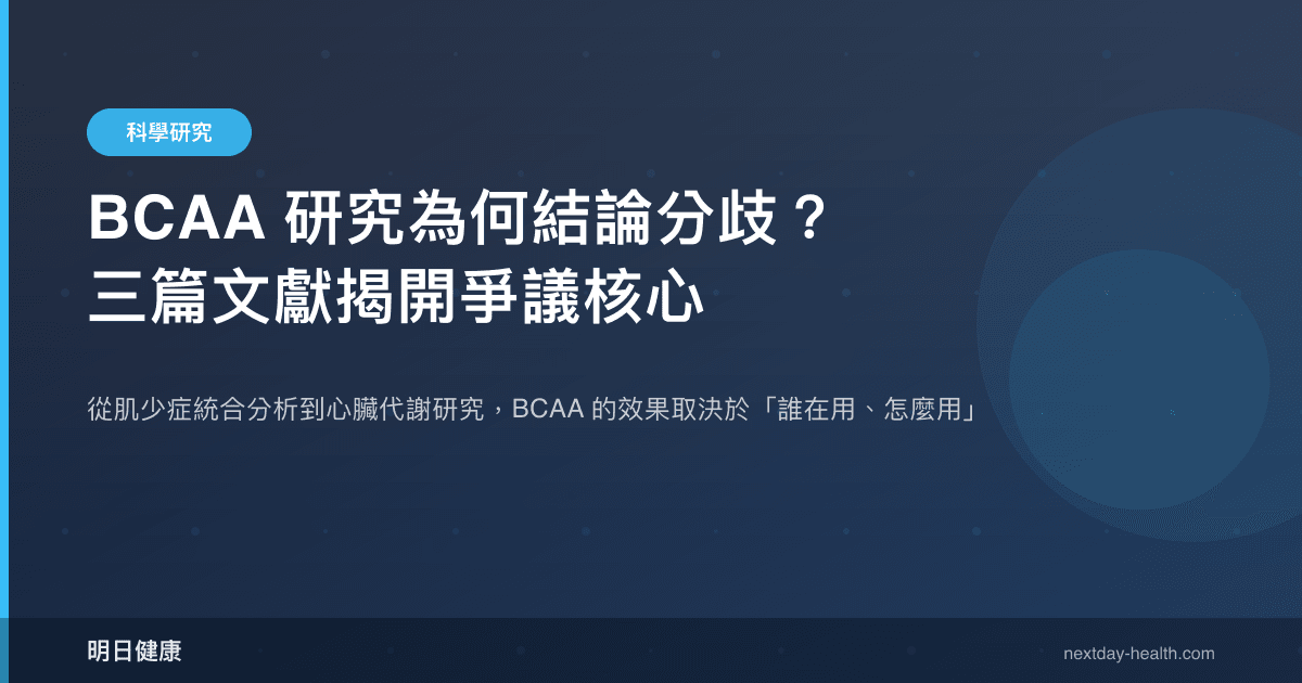 BCAA 研究為何結論分歧？三篇文獻揭開爭議核心