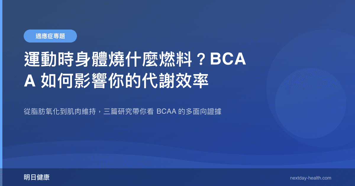 運動時身體燒什麼燃料？BCAA 如何影響你的代謝效率