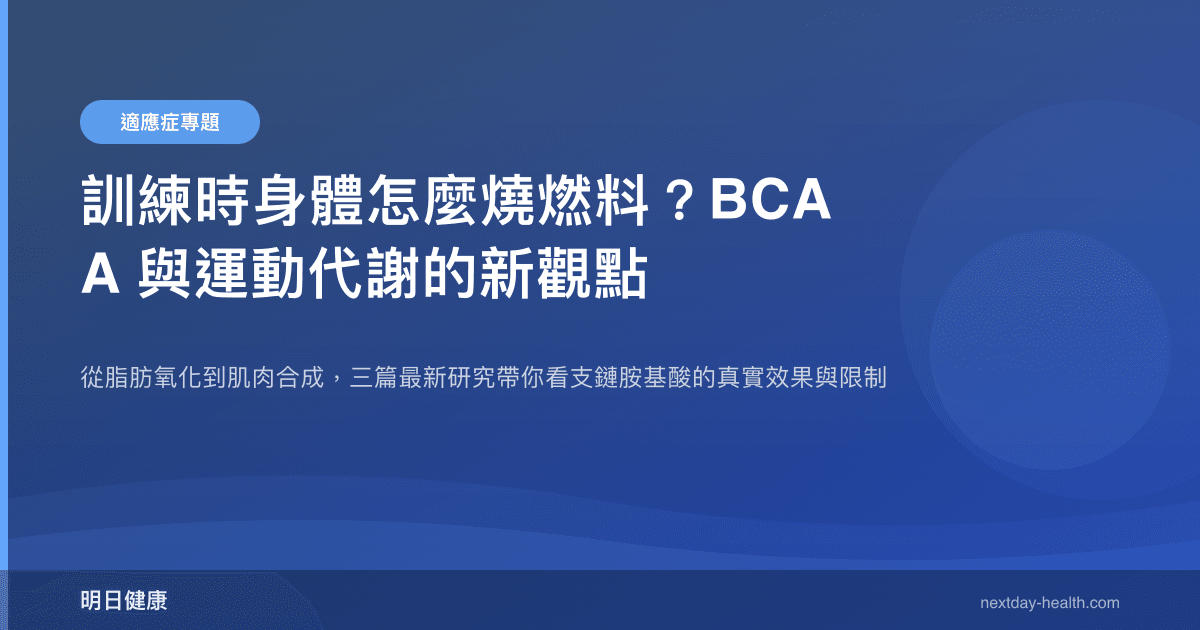 訓練時身體怎麼燒燃料？BCAA 與運動代謝的新觀點