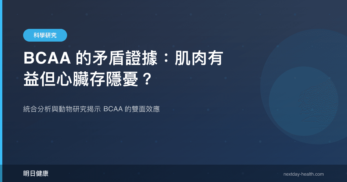 BCAA 的矛盾證據：肌肉有益但心臟存隱憂？