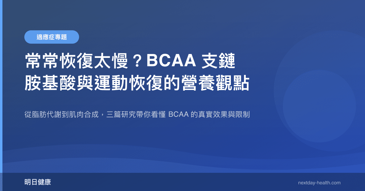 常常恢復太慢？BCAA 支鏈胺基酸與運動恢復的營養觀點