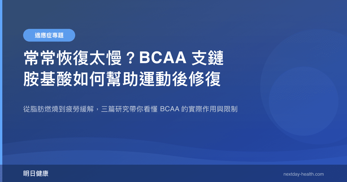 常常恢復太慢？BCAA 支鏈胺基酸如何幫助運動後修復
