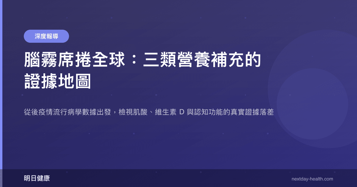 腦霧席捲全球：三類營養補充的證據地圖