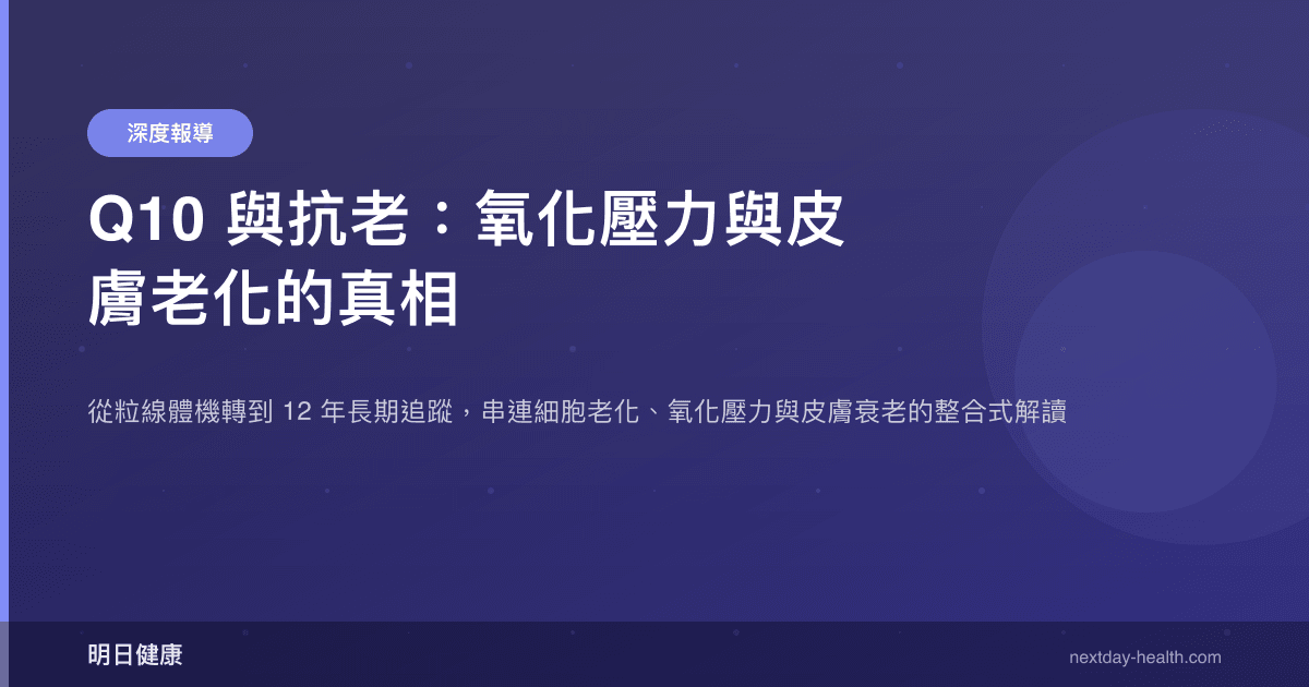 Q10 與抗老：氧化壓力與皮膚老化的真相