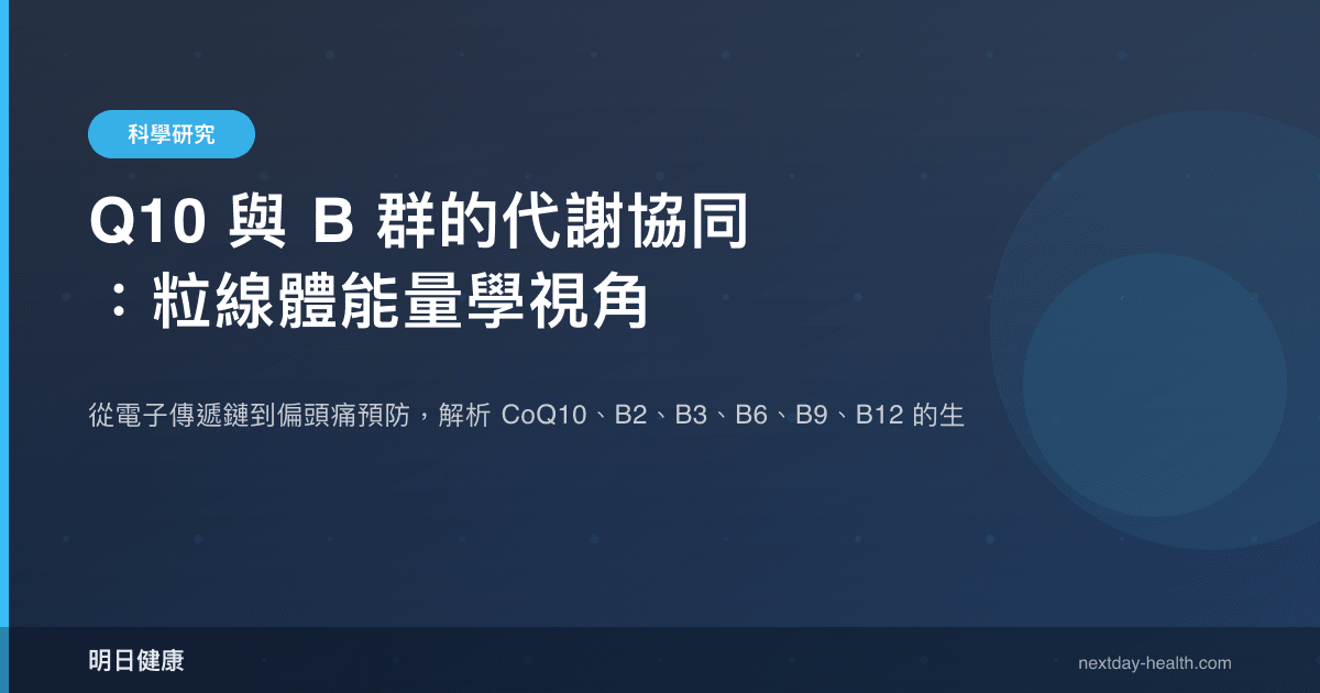 Q10 與 B 群的代謝協同：粒線體能量學視角