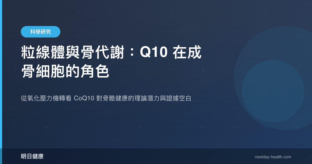 粒線體與骨代謝：Q10 在成骨細胞的角色