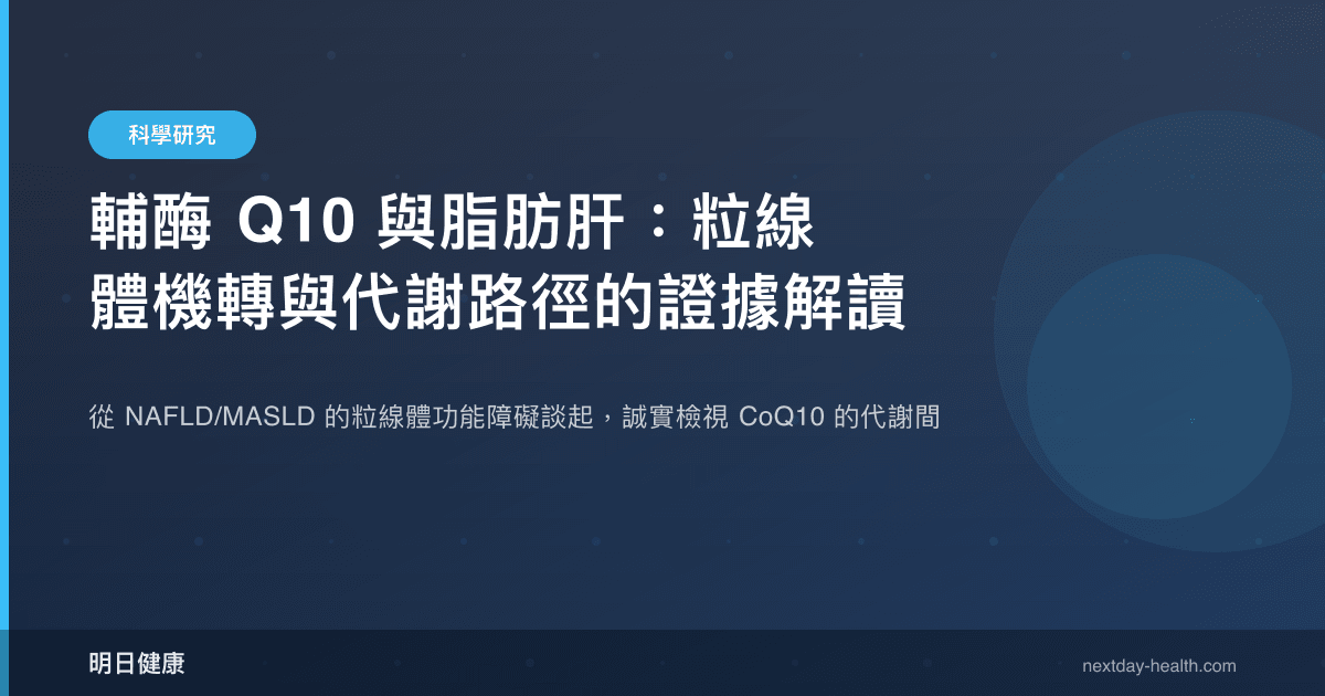 輔酶 Q10 與脂肪肝：粒線體機轉與代謝路徑的證據解讀