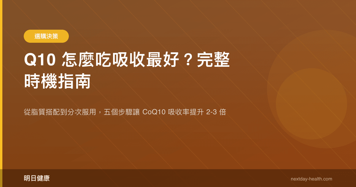 Q10 怎麼吃吸收最好？完整時機指南