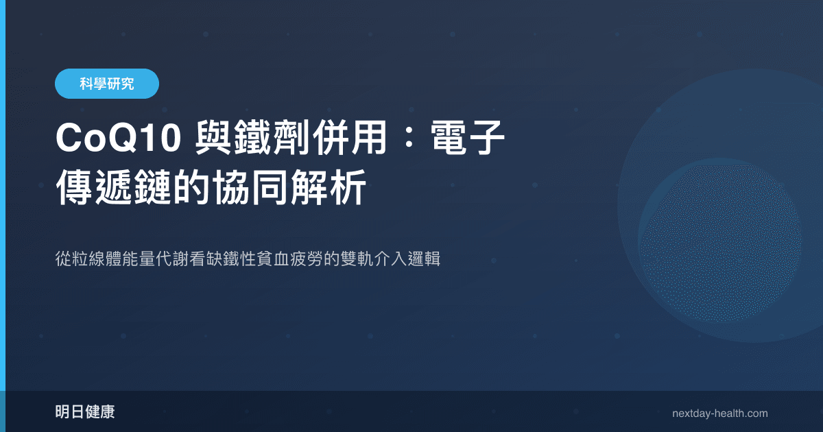 CoQ10 與鐵劑併用：電子傳遞鏈的協同解析