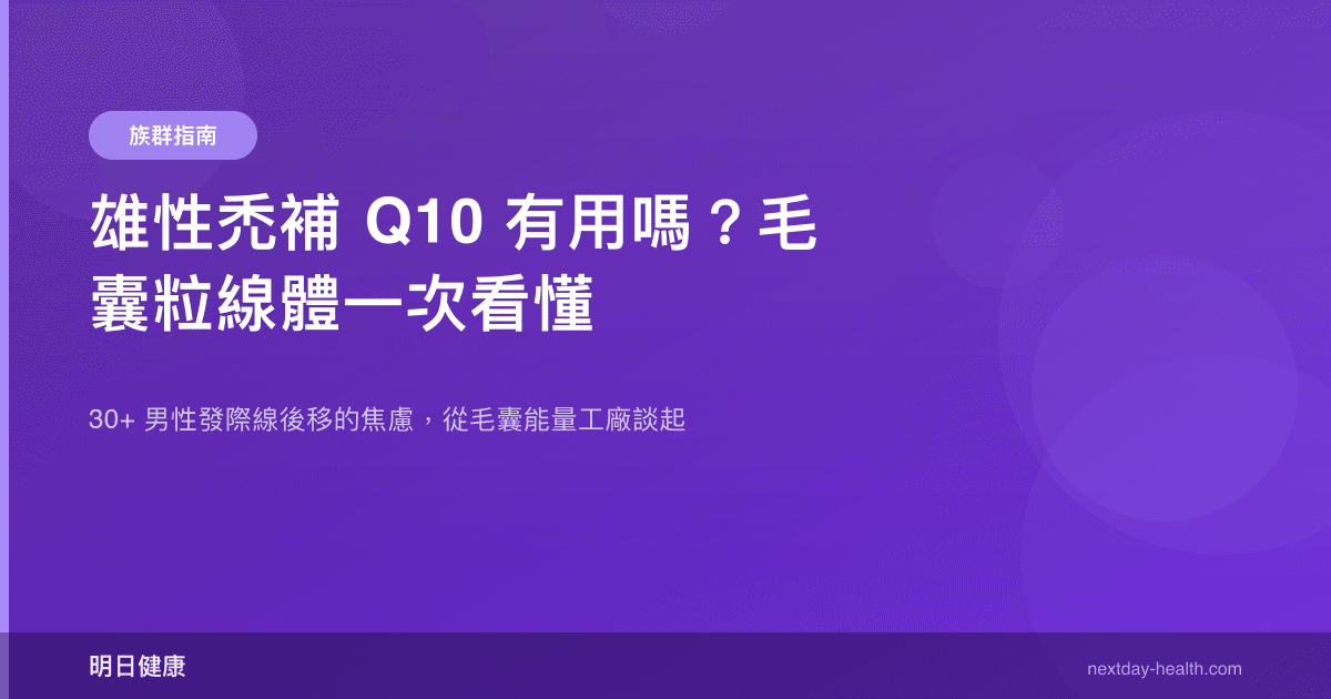 雄性禿補 Q10 有用嗎？毛囊粒線體一次看懂