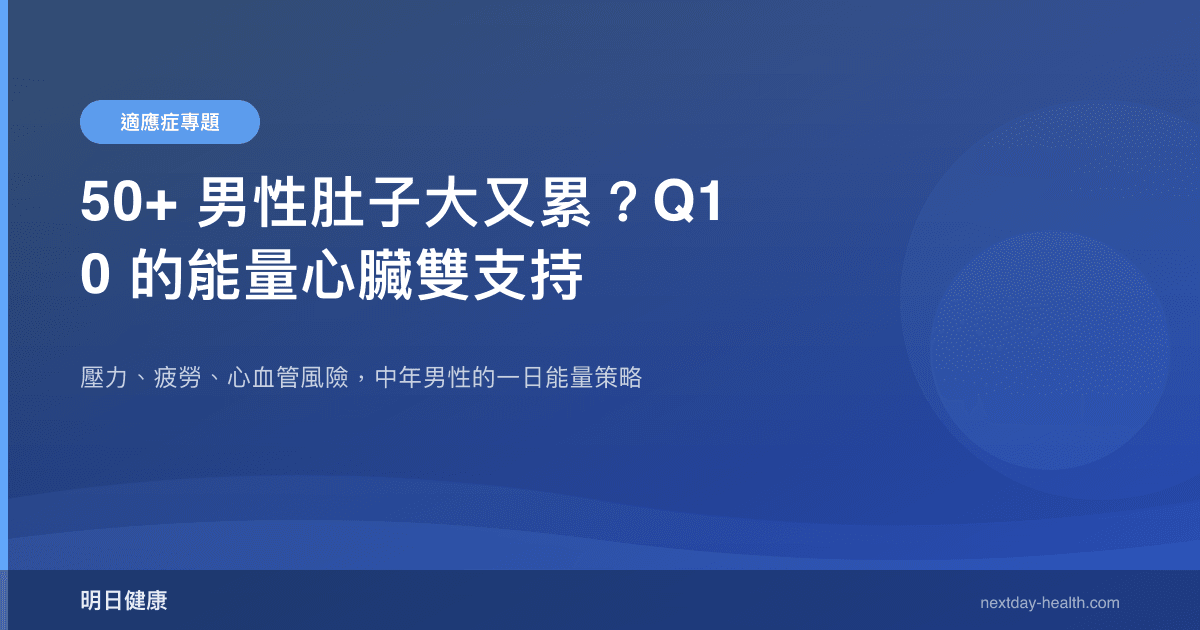 50+ 男性肚子大又累？Q10 的能量心臟雙支持