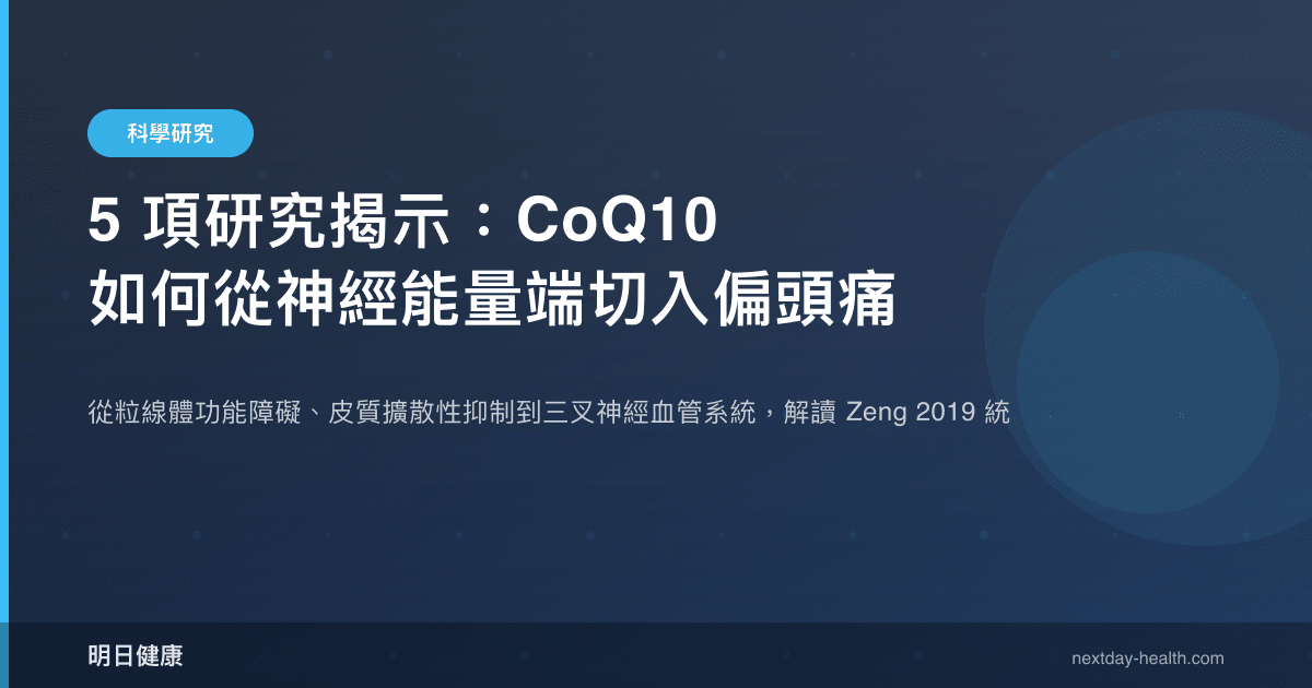 5 項研究揭示：CoQ10 如何從神經能量端切入偏頭痛