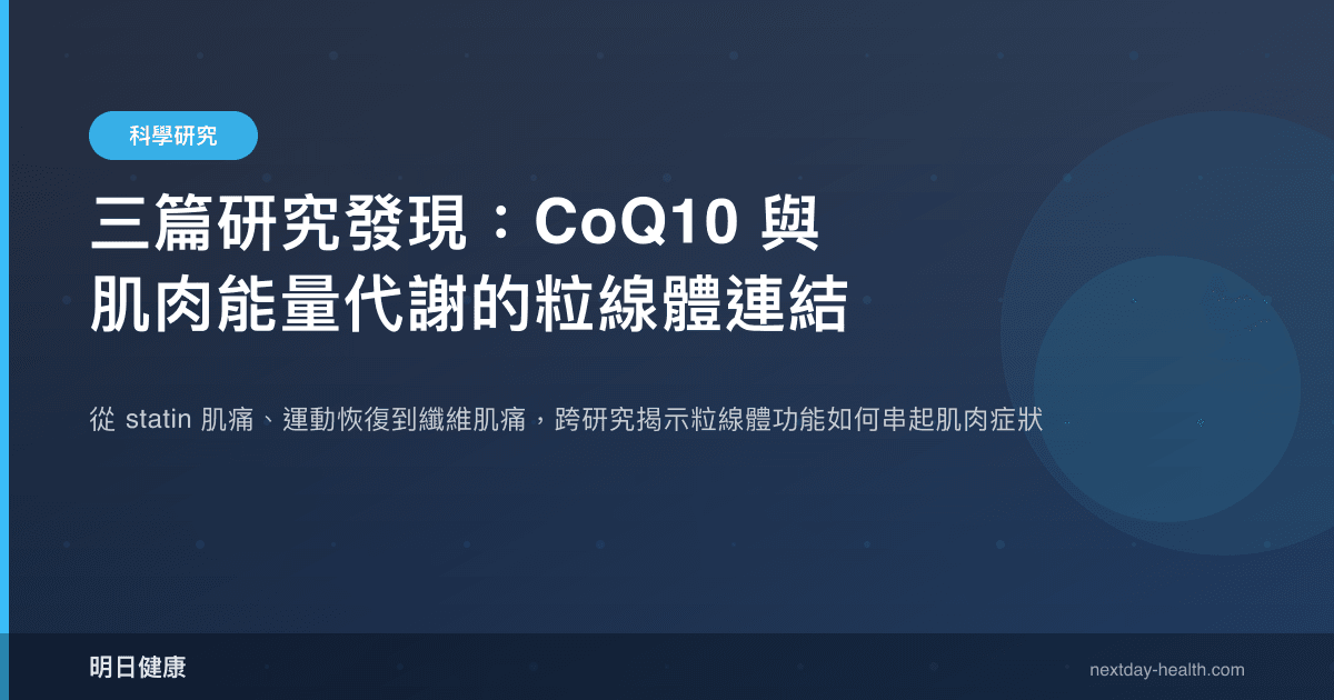 三篇研究發現：CoQ10 與肌肉能量代謝的粒線體連結