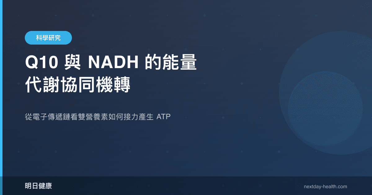 Q10 與 NADH 的能量代謝協同機轉