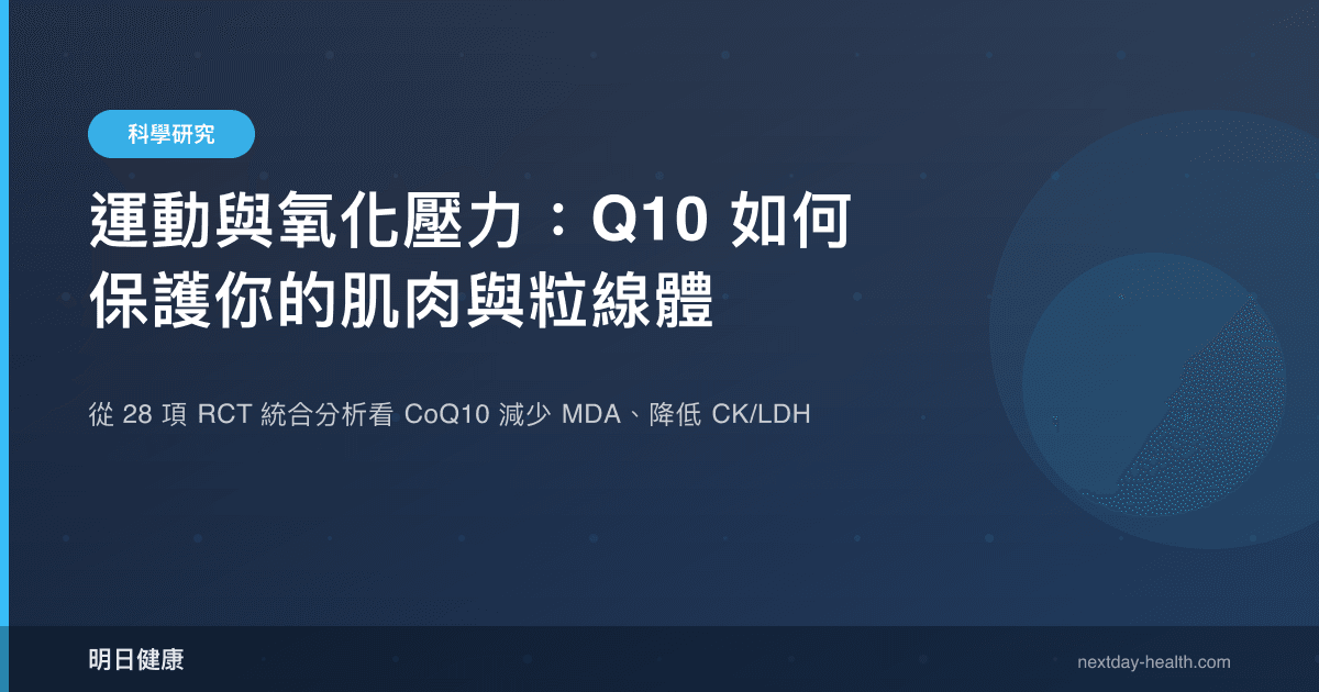 運動與氧化壓力：Q10 如何保護你的肌肉與粒線體