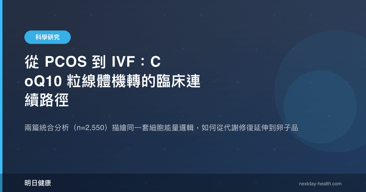 從 PCOS 到 IVF：CoQ10 粒線體機轉的臨床連續路徑
