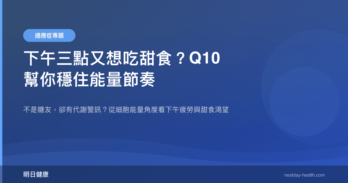 下午三點又想吃甜食？Q10 幫你穩住能量節奏