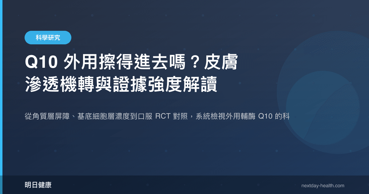 Q10 外用擦得進去嗎？皮膚滲透機轉與證據強度解讀