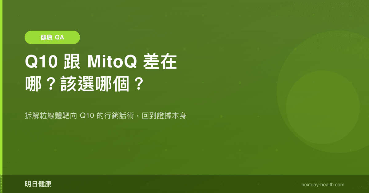 Q10 跟 MitoQ 差在哪？該選哪個？