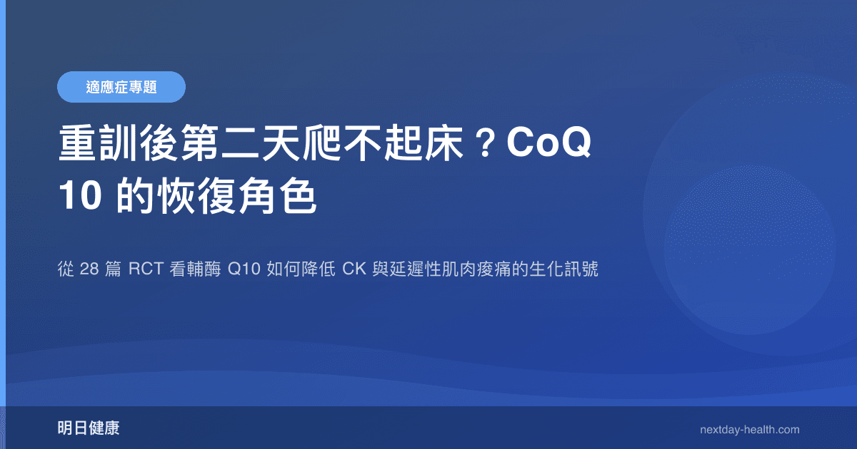 重訓後第二天爬不起床？CoQ10 的恢復角色