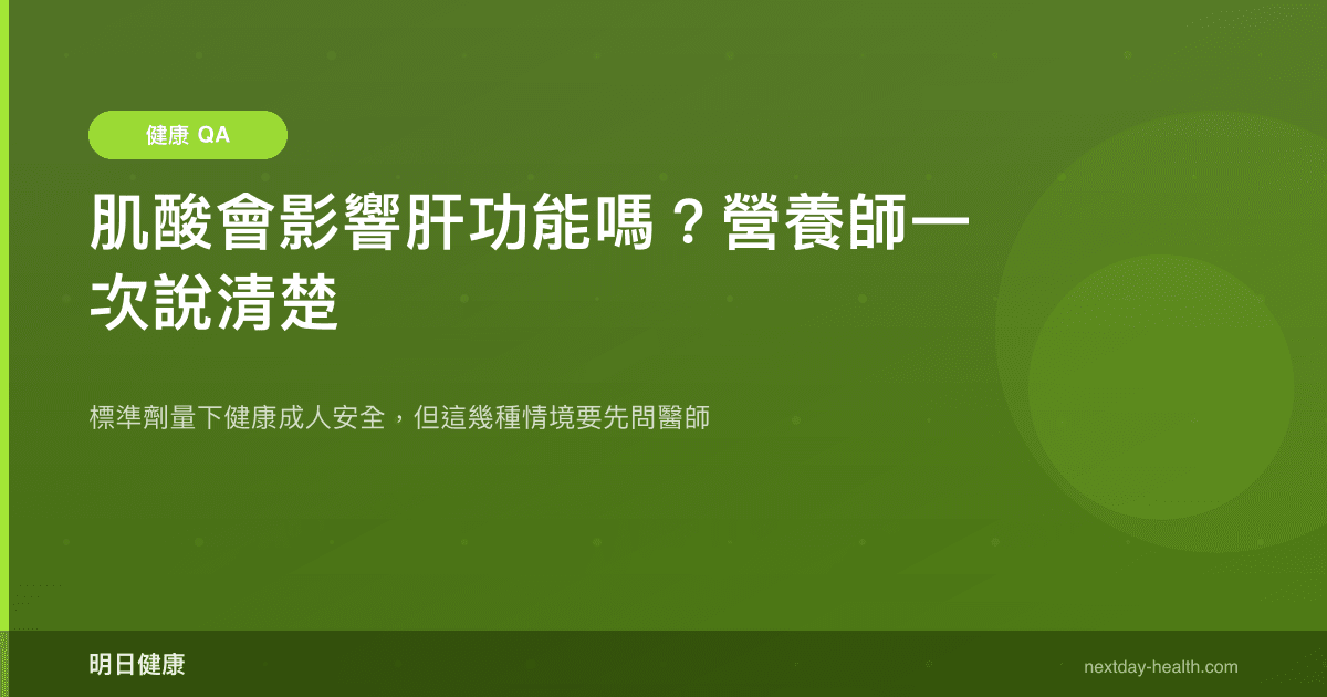 肌酸會影響肝功能嗎？營養師一次說清楚