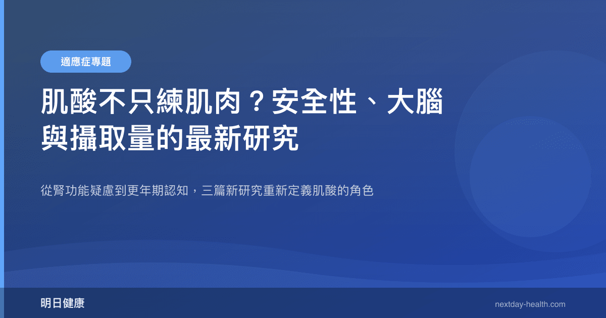 肌酸不只練肌肉？安全性、大腦與攝取量的最新研究