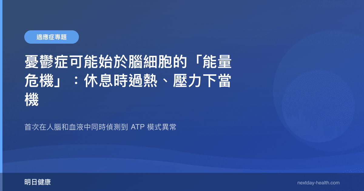 憂鬱症可能始於腦細胞的「能量危機」：休息時過熱、壓力下當機