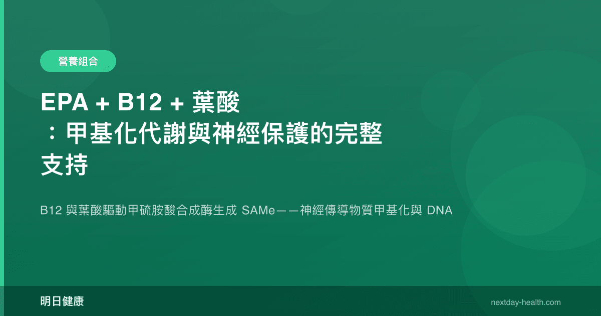 EPA + B12 + 葉酸：甲基化代謝與神經保護的完整支持