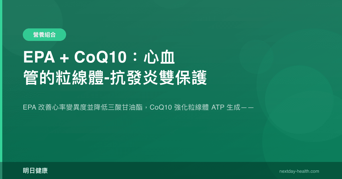 EPA + CoQ10：心血管的粒線體-抗發炎雙保護