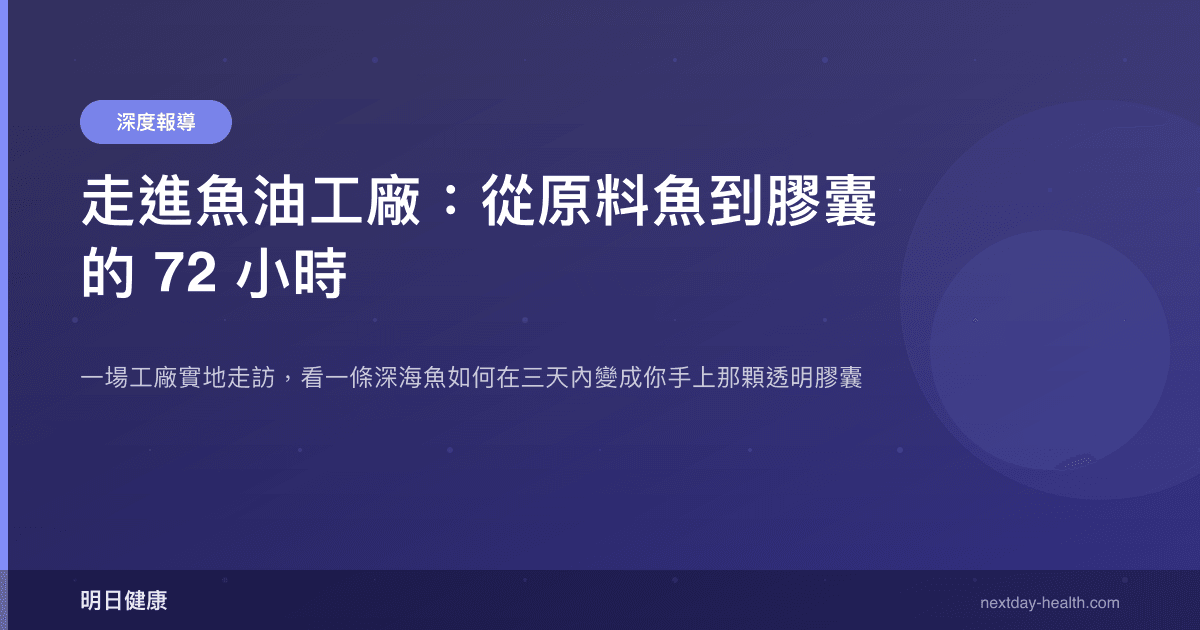 走進魚油工廠：從原料魚到膠囊的 72 小時