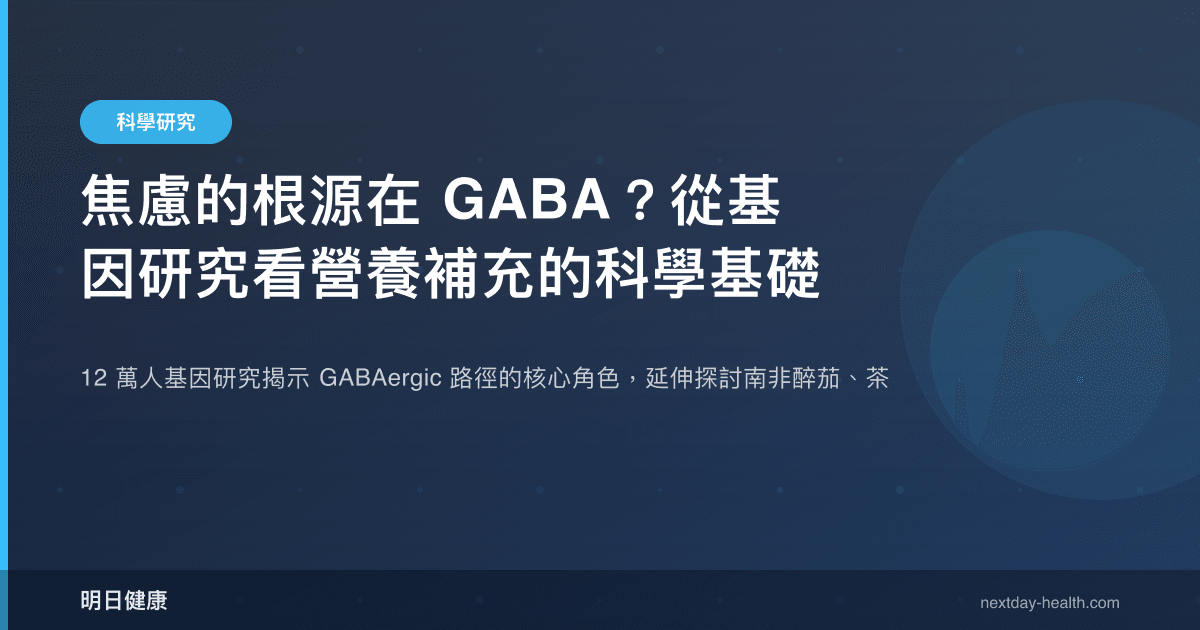 焦慮的根源在 GABA？從基因研究看營養補充的科學基礎