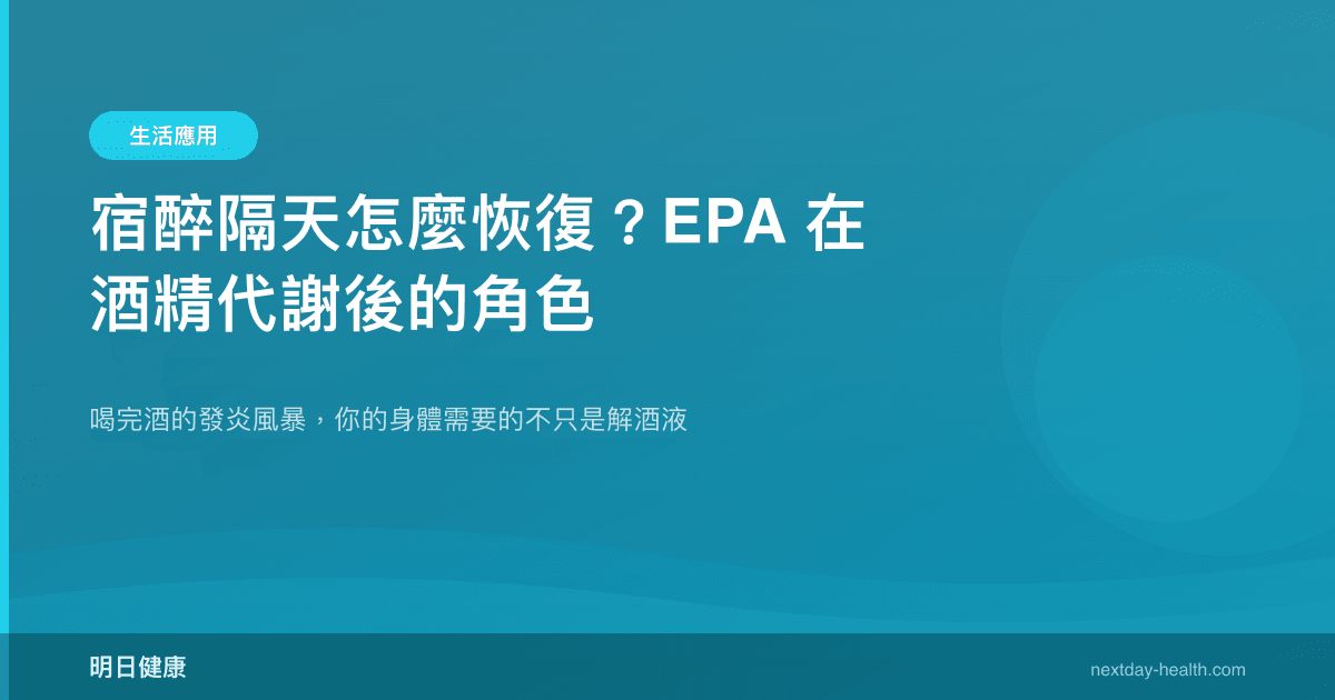 宿醉隔天怎麼恢復？EPA 在酒精代謝後的角色