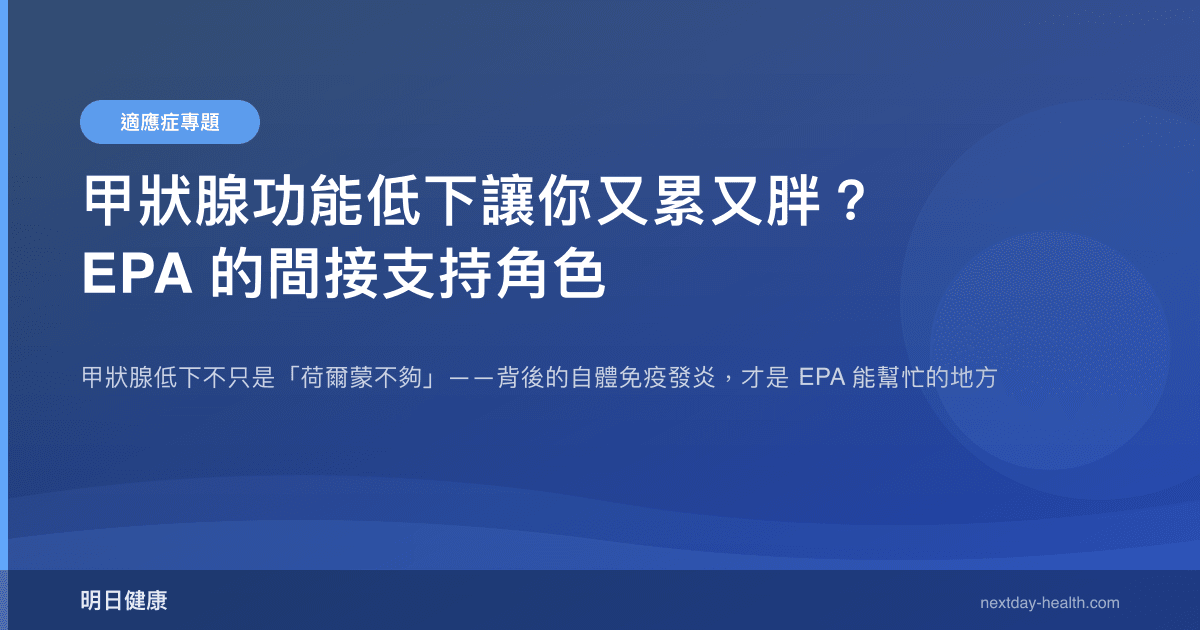甲狀腺功能低下讓你又累又胖？EPA 的間接支持角色