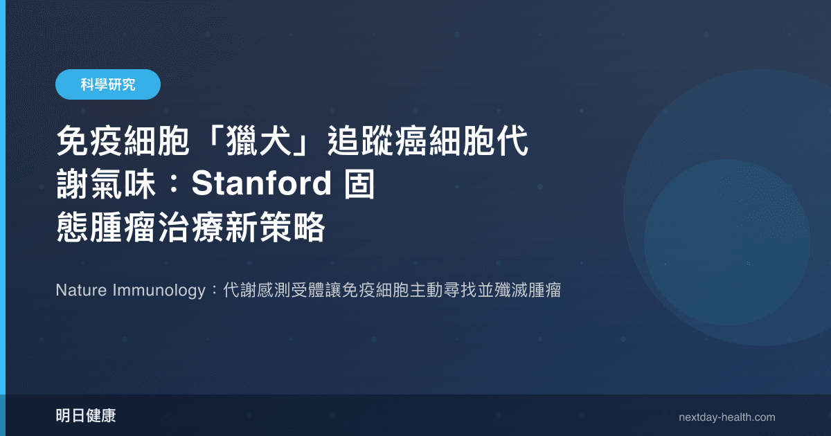 免疫細胞「獵犬」追蹤癌細胞代謝氣味：Stanford 固態腫瘤治療新策略