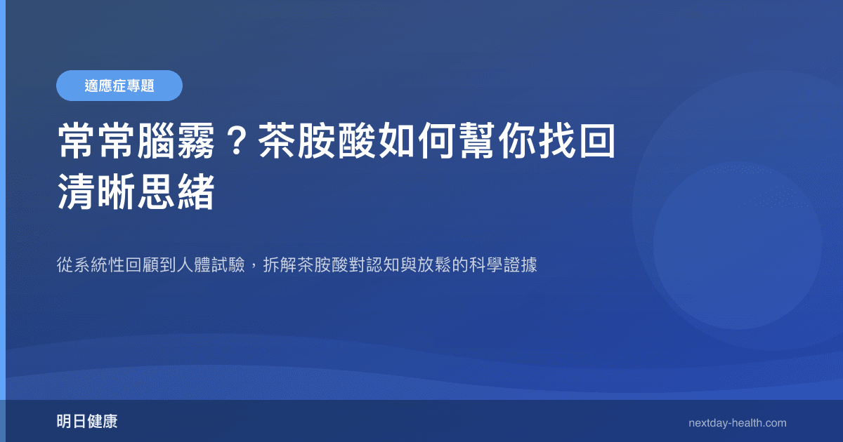 常常腦霧？茶胺酸如何幫你找回清晰思緒