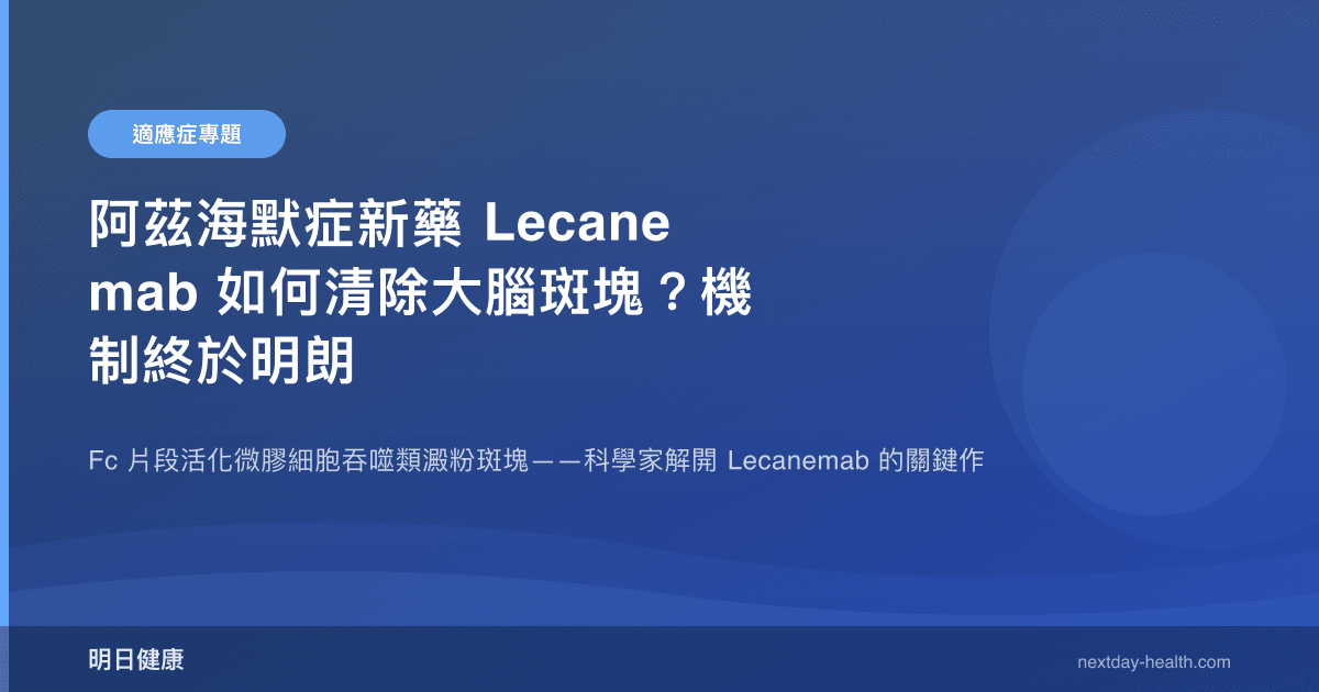 阿茲海默症新藥 Lecanemab 如何清除大腦斑塊？機制終於明朗