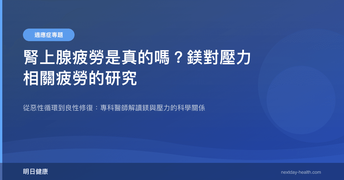 腎上腺疲勞是真的嗎？鎂對壓力相關疲勞的研究