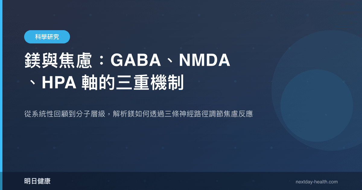鎂與焦慮：GABA、NMDA、HPA 軸的三重機制