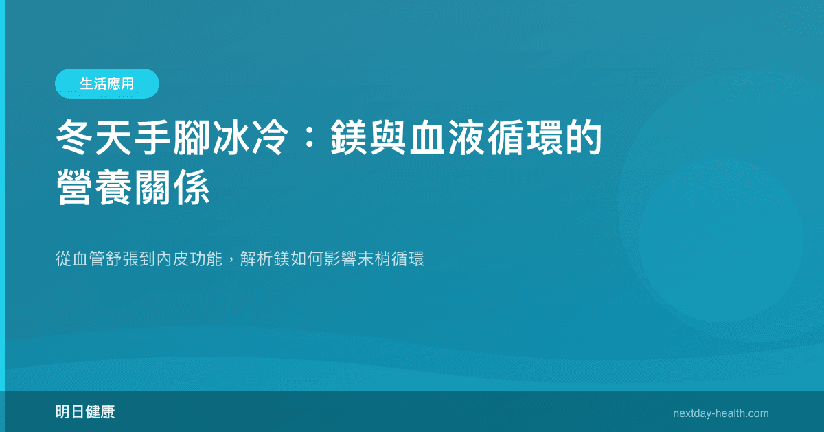 冬天手腳冰冷：鎂與血液循環的營養關係