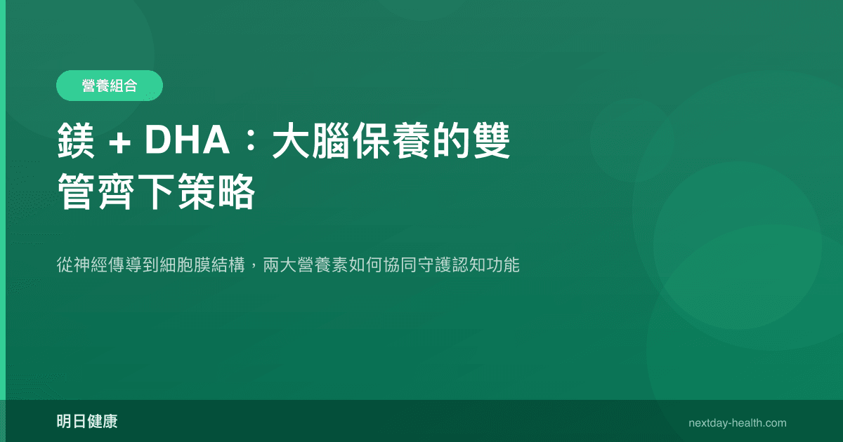 鎂 + DHA：大腦保養的雙管齊下策略