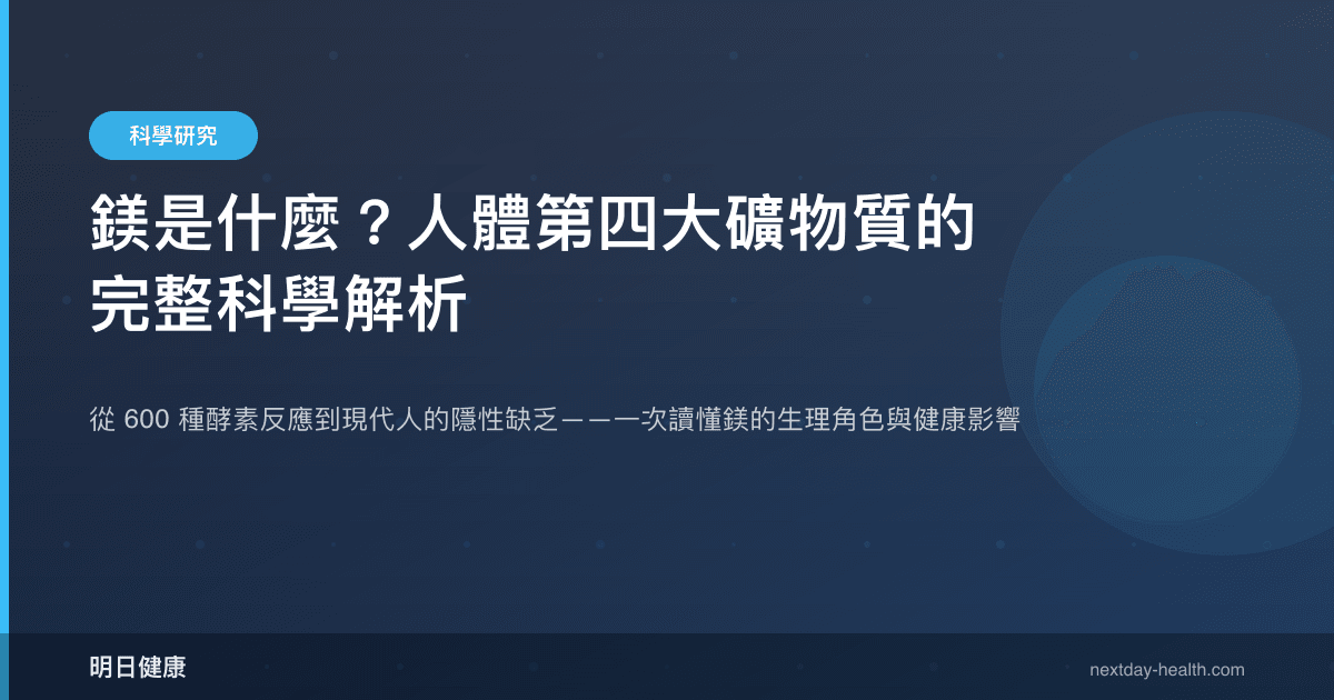 鎂是什麼？人體第四大礦物質的完整科學解析