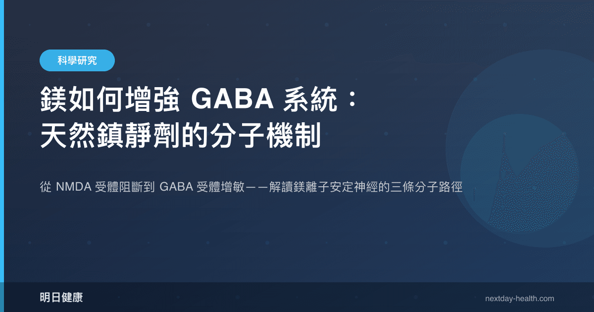 鎂如何增強 GABA 系統：天然鎮靜劑的分子機制