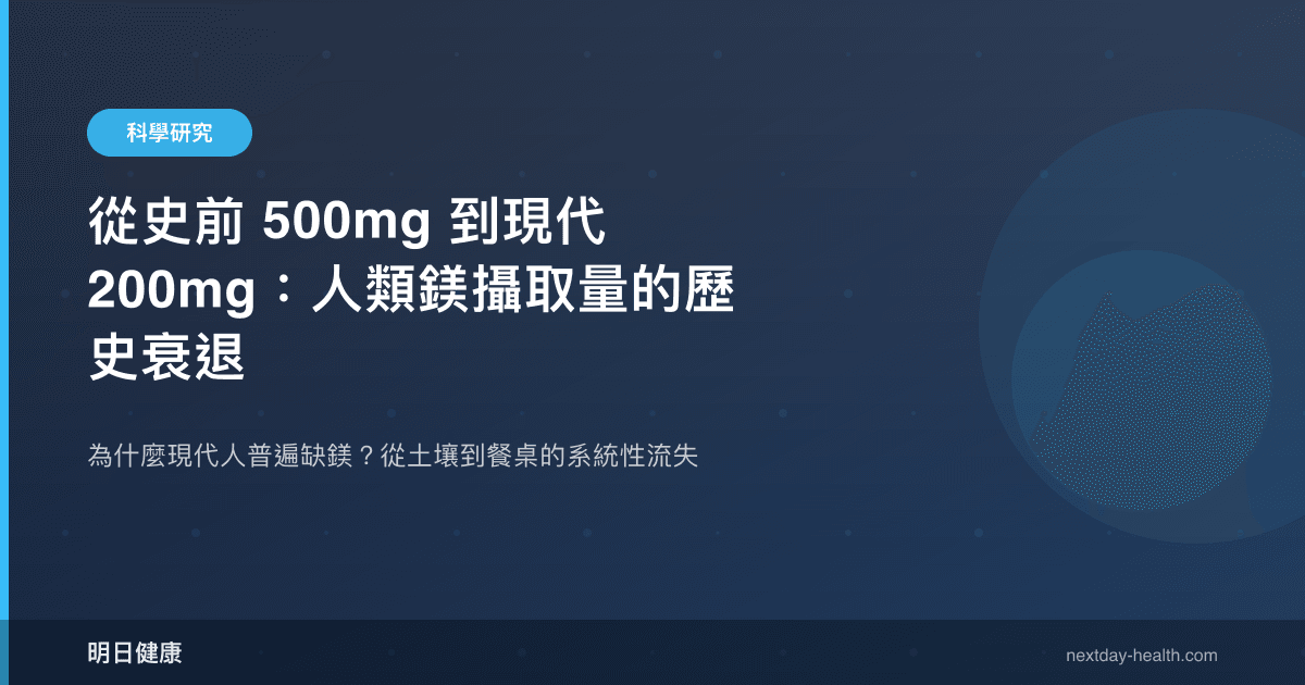 從史前 500mg 到現代 200mg：人類鎂攝取量的歷史衰退