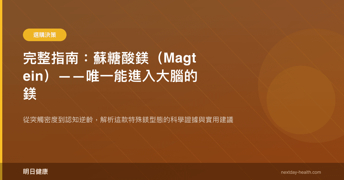 完整指南：蘇糖酸鎂（Magtein）——唯一能進入大腦的鎂