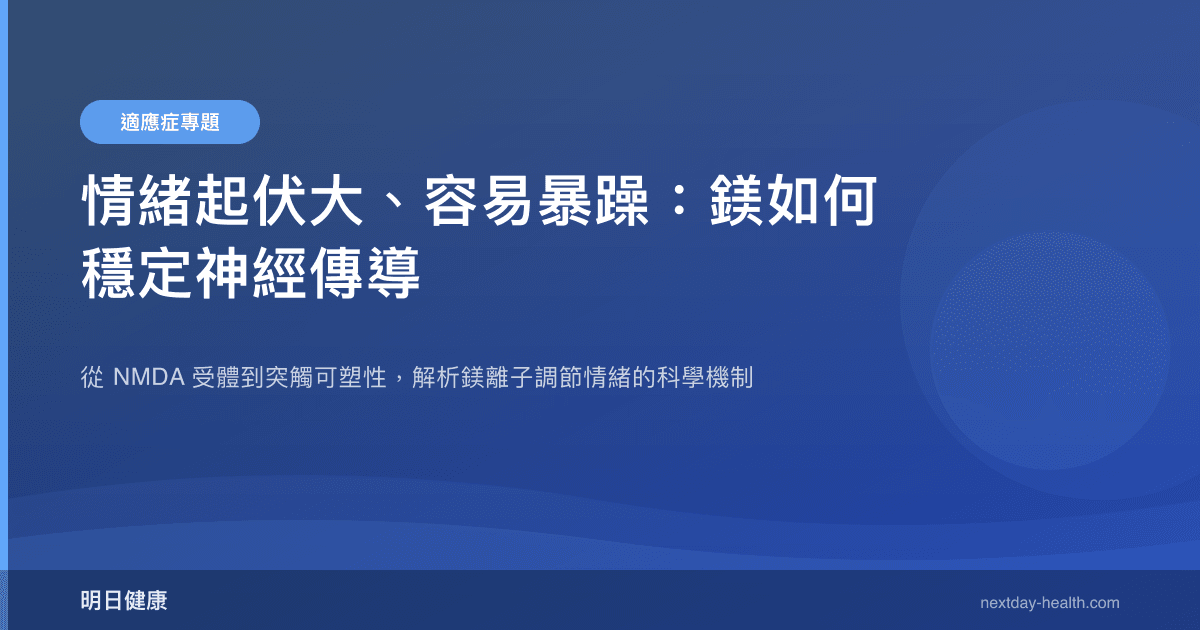 情緒起伏大、容易暴躁：鎂如何穩定神經傳導
