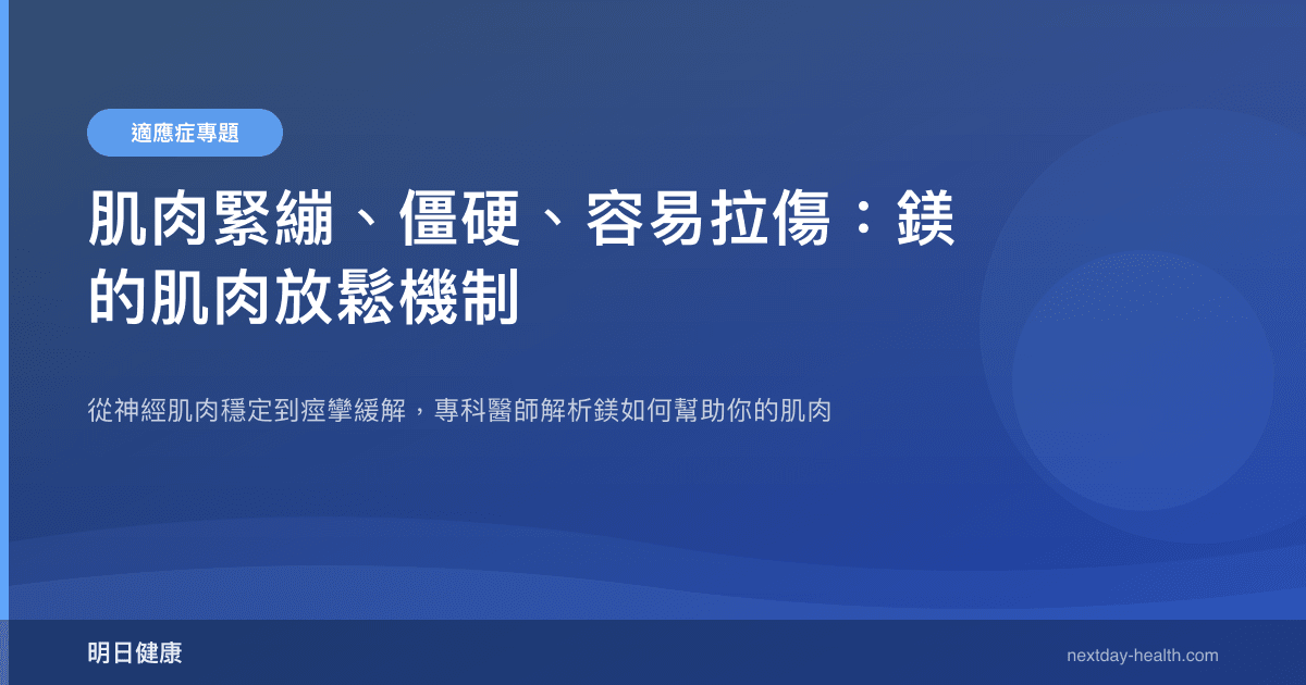 肌肉緊繃、僵硬、容易拉傷：鎂的肌肉放鬆機制